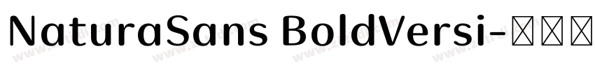 NaturaSans BoldVersi字体转换